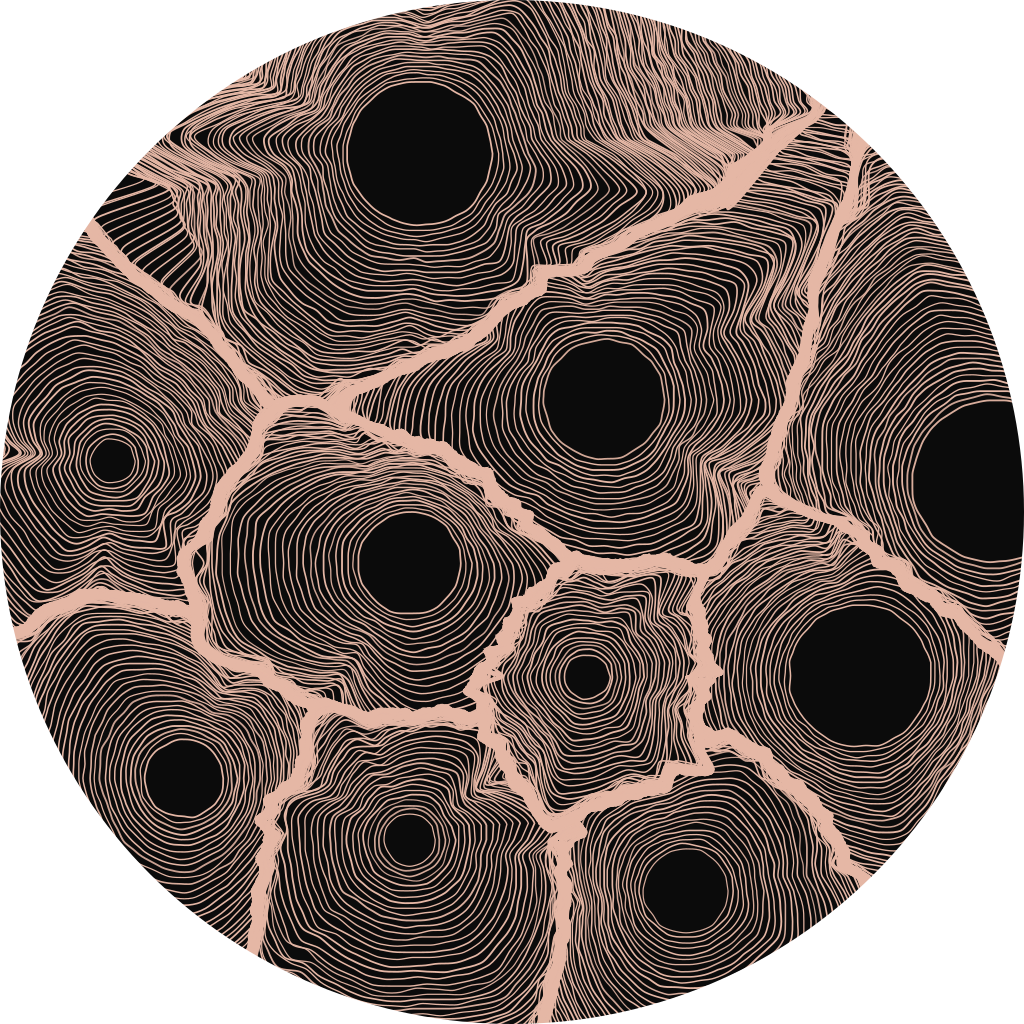 Dendro in warm copper tones displaying 10 concentric circular tree ring patterns with natural, curved lines emanating from scattered center points.