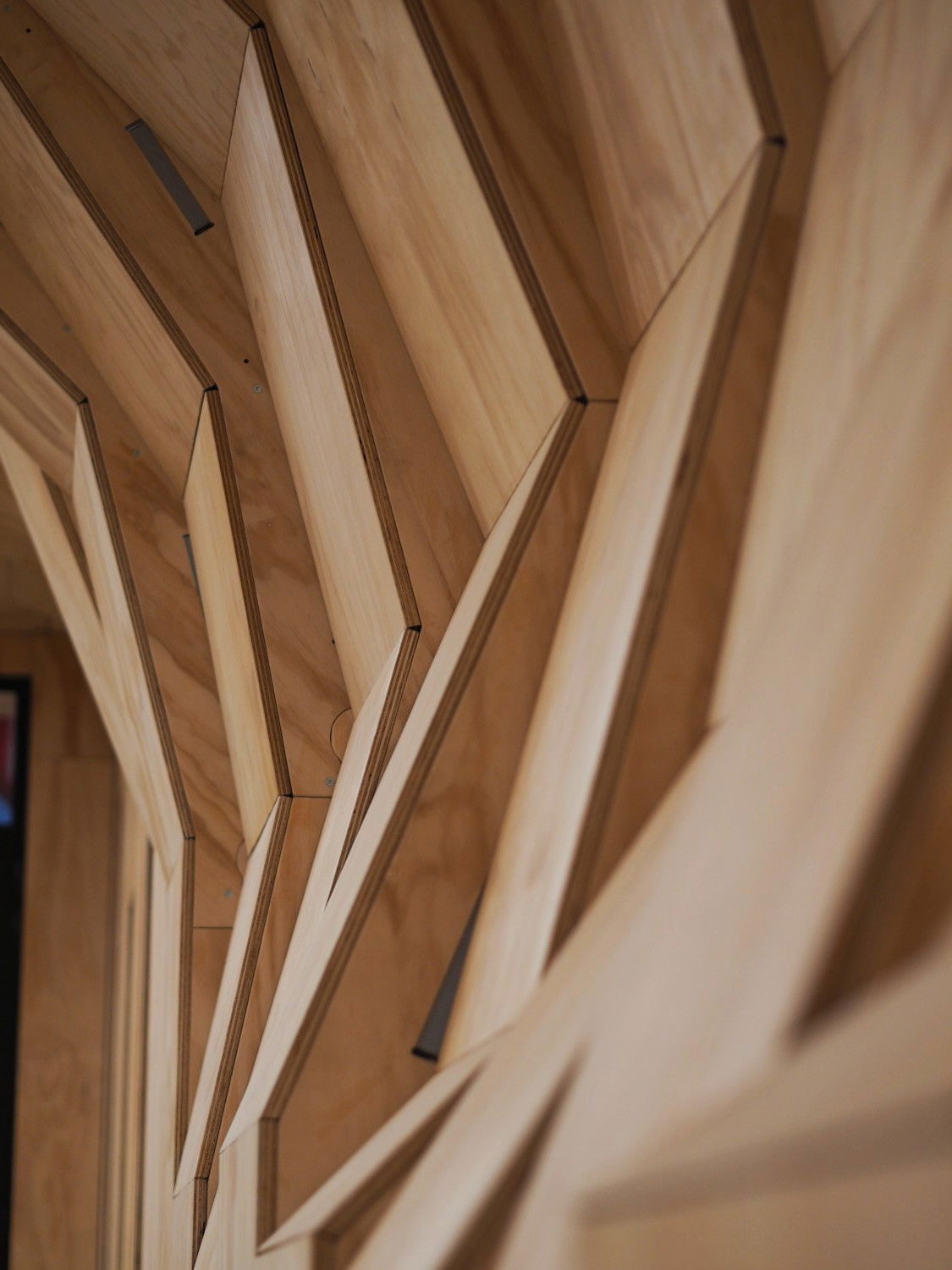 A view inside the QuadriVille space looking along the curved front wall which is made up of randomly placed wooden panels, manifesting a tubular shape.